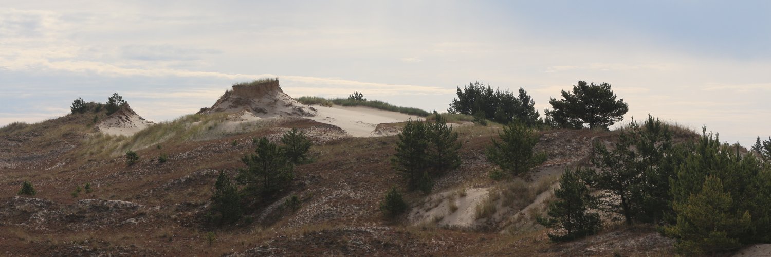 thilda, a chaotic neutral 🍉🍉🍉 banner