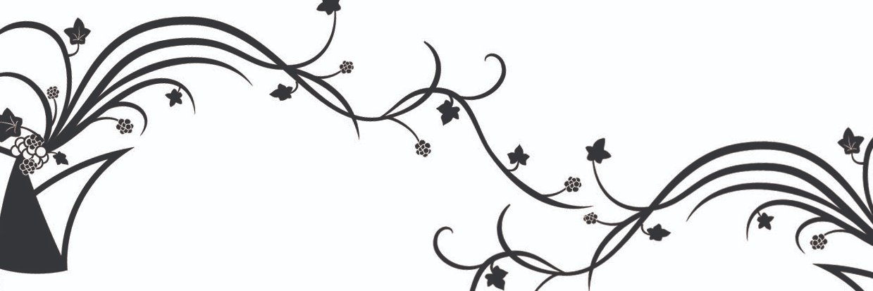 ivyspadille's profile banner image
