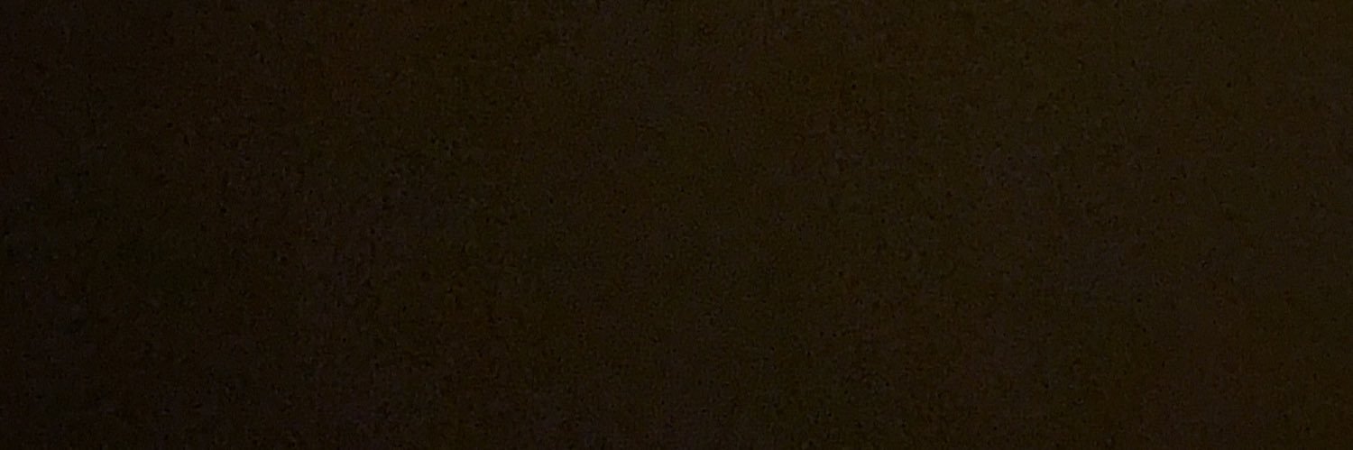 MichaelaGorenf2's profile banner image