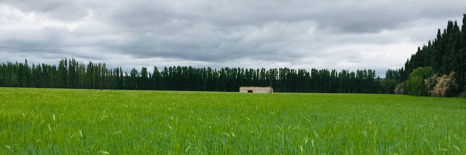 pei1975's profile banner image