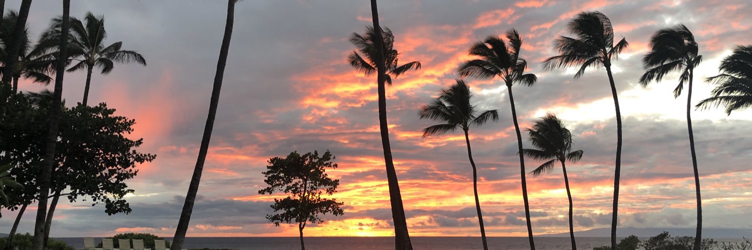 Steve Tzikakis banner