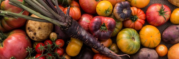 UWMadisonPAS Profile Banner