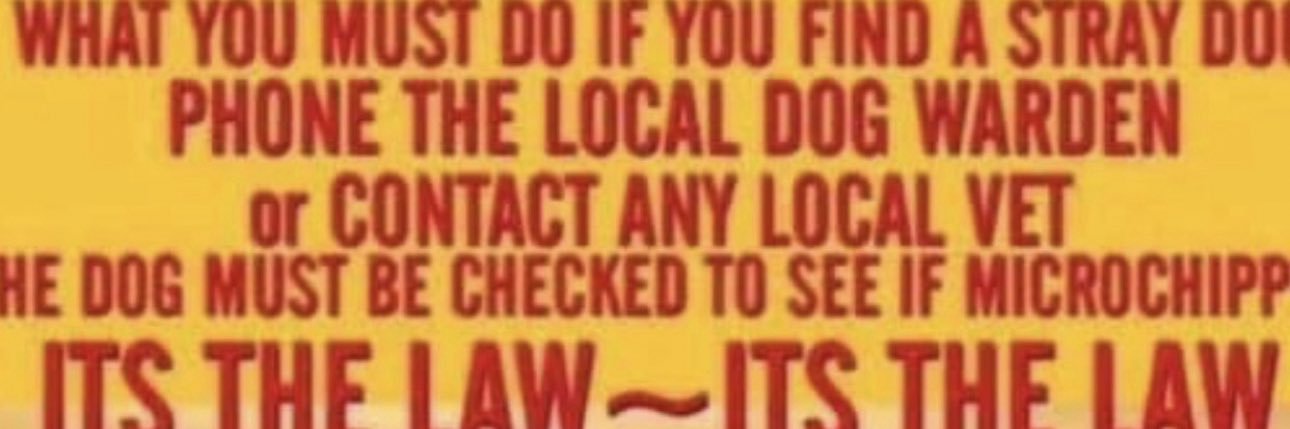 Dogs of Tooting 1 banner