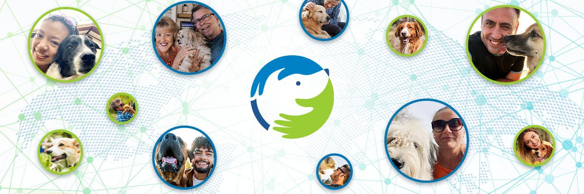 Dog Cancer Help banner