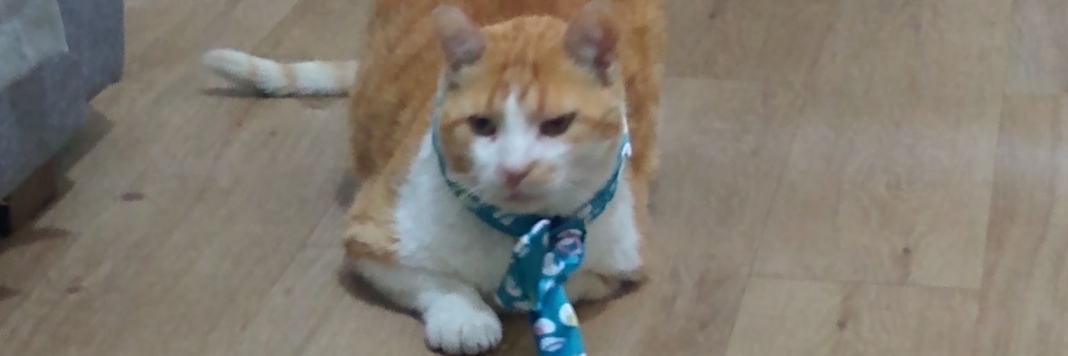 Alexandre Estefan banner