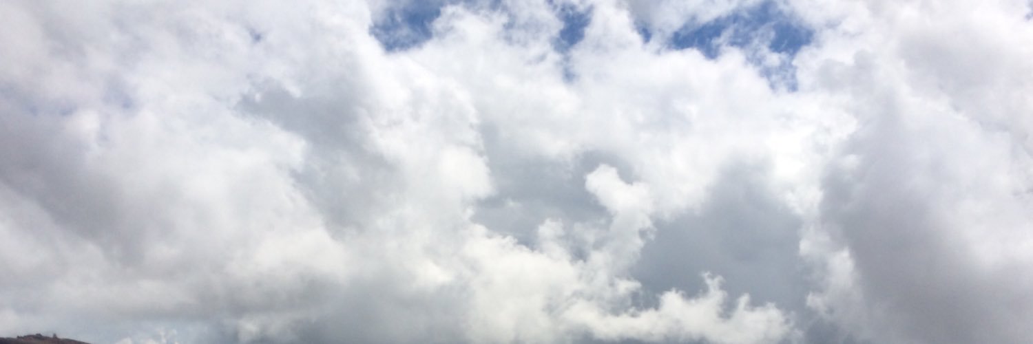 Mollythemoose's profile banner image