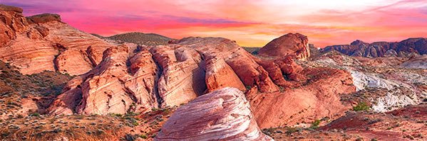 Sandra D. Morgan banner