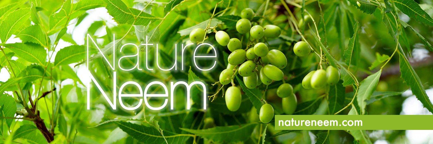natureneem's profile banner image