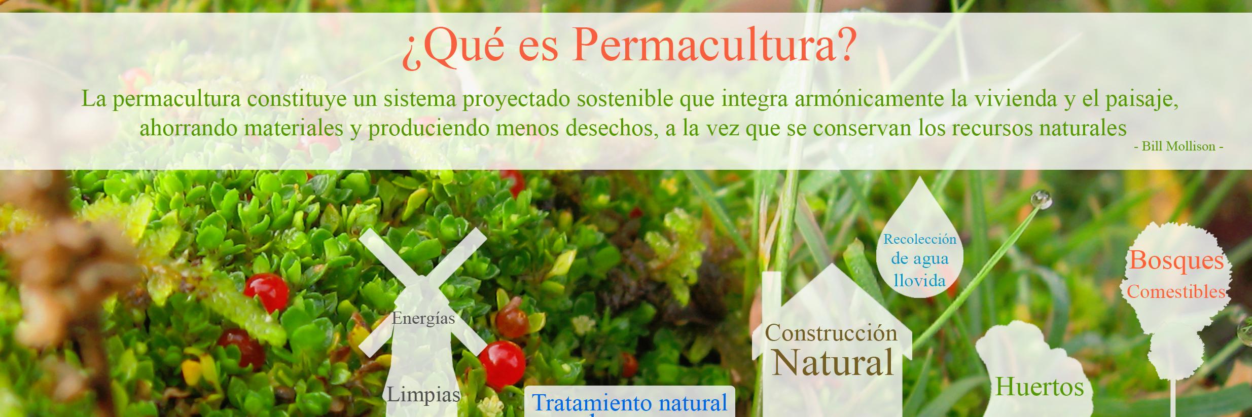 mvmoringa's profile banner image