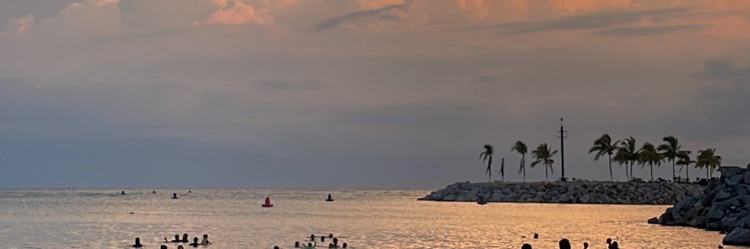 _OscarH1's profile banner image