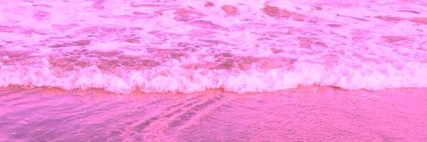 CocoMeeker Profile Banner