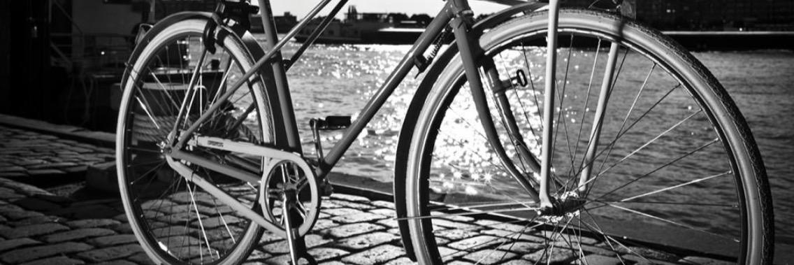 Michelle Dand banner