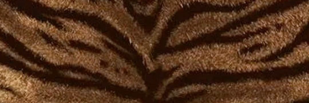 kelseixw's profile banner image