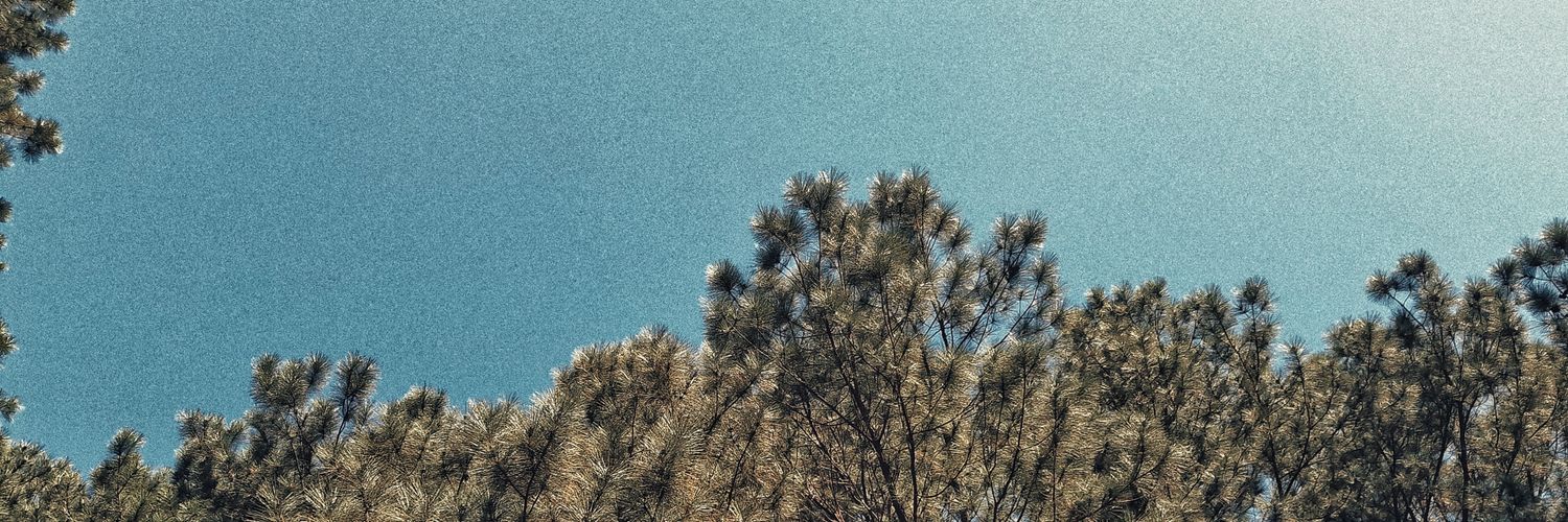 AnaaThais_'s profile banner image