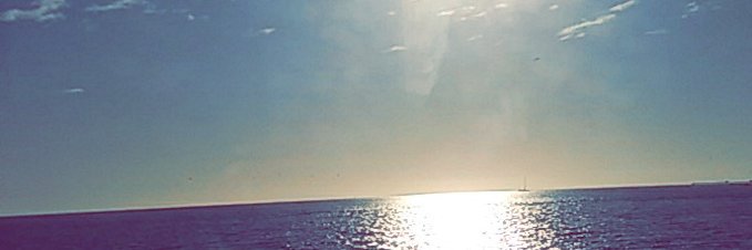 forte_sj's profile banner image