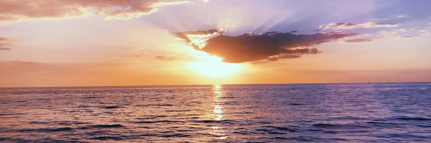 bellaaferraro's profile banner image