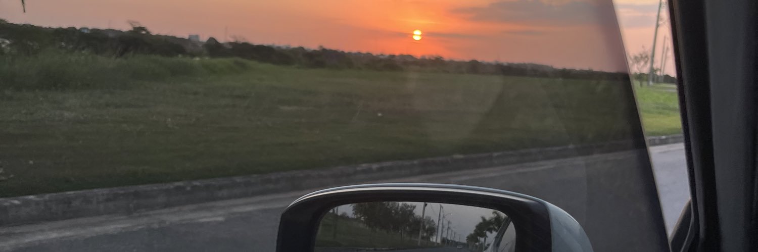 frankflu's profile banner image