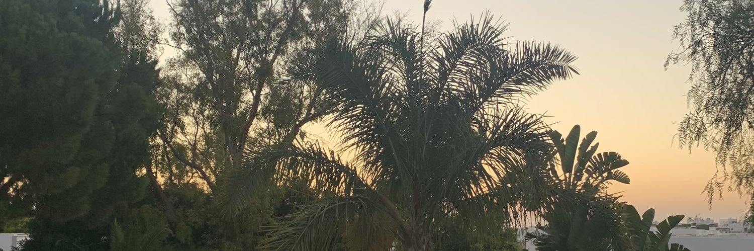 MoonRules94's profile banner image