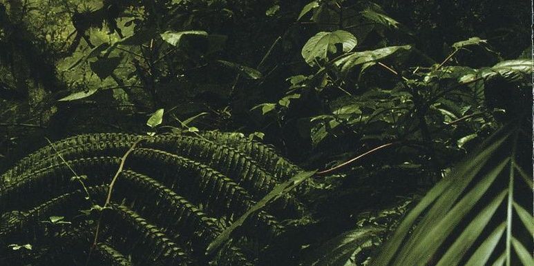 alystel's profile banner image