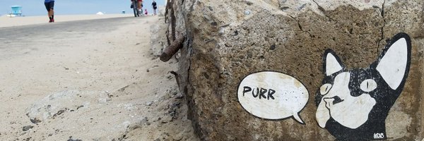 BopperPKMN Profile Banner