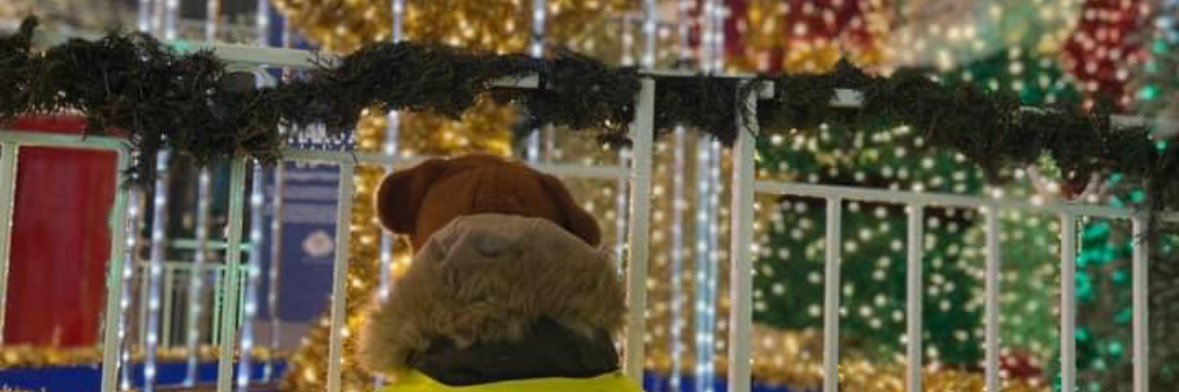 Ljj_121's profile banner image