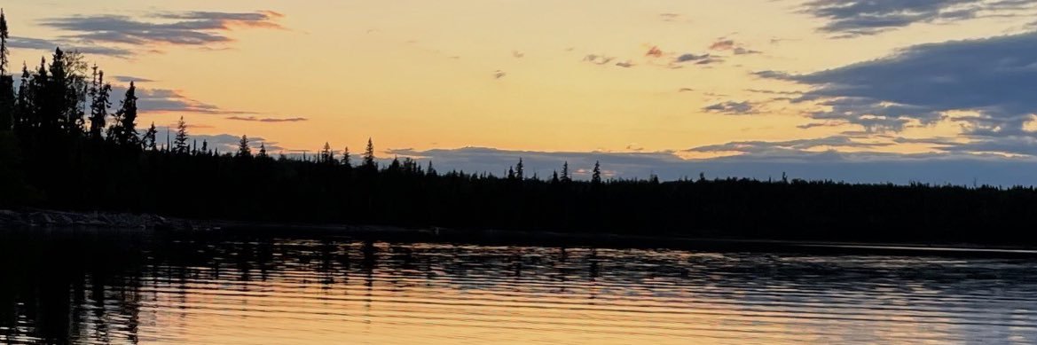 VinnyPerreault's profile banner image