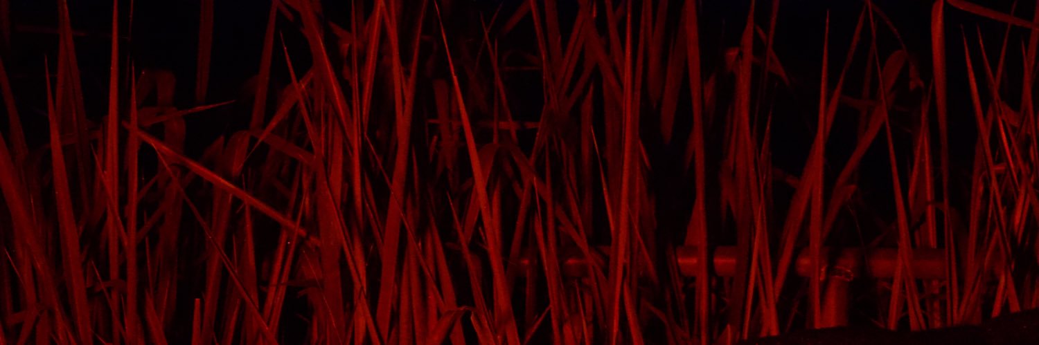 desmaiah's profile banner image
