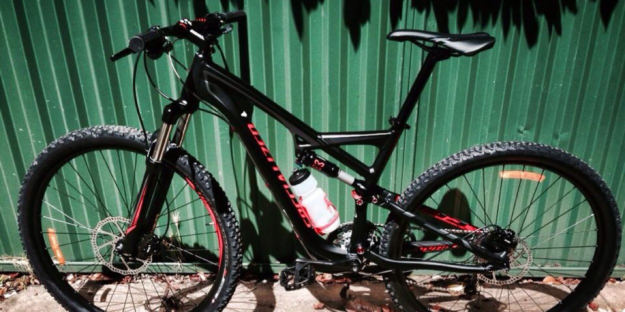 Michael Cushing banner