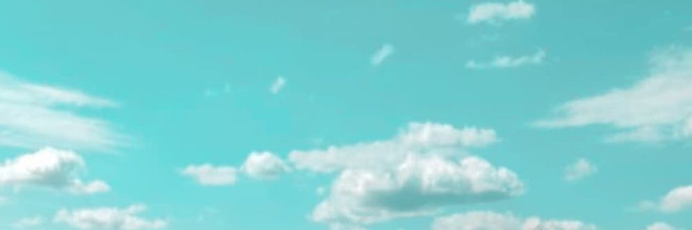 PameBelfiore's profile banner image