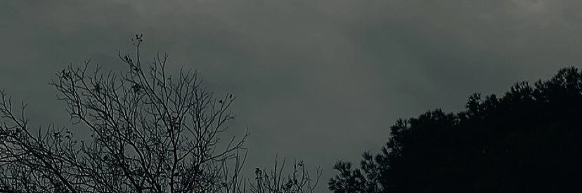 Dannybarajas25's profile banner image