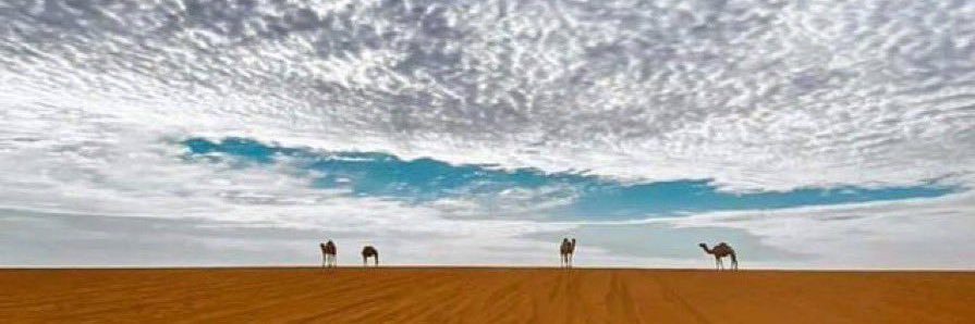 aboSaiF23's profile banner image