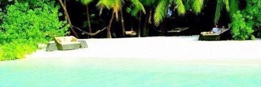 💎AntesMuertaQSencilla♡ banner
