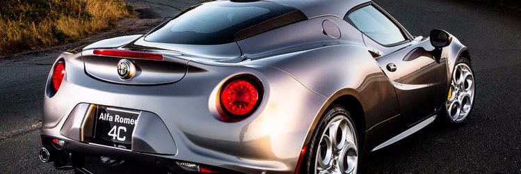 Public Protester banner