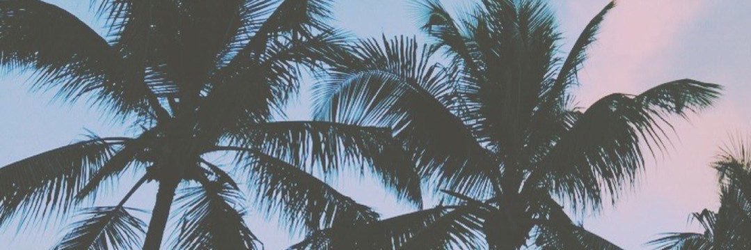 LulaMarang's profile banner image