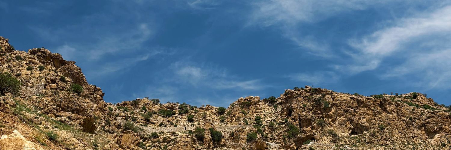 brvndrn's profile banner image
