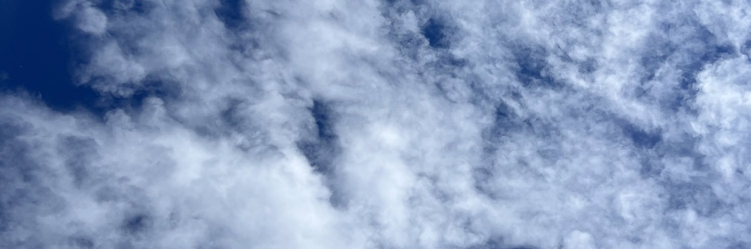 beccabroda's profile banner image