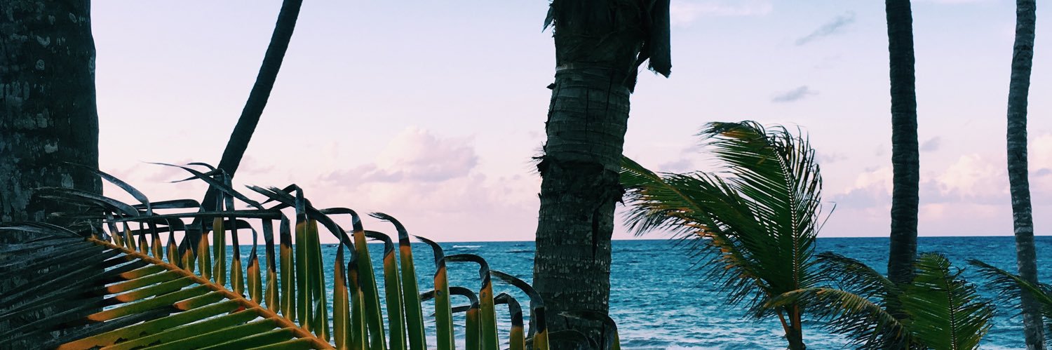 PaulaLuques_'s profile banner image