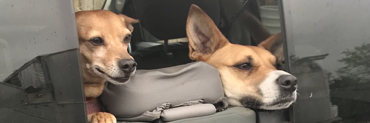 TooTallCharlie🇺🇸🇺🇦 banner