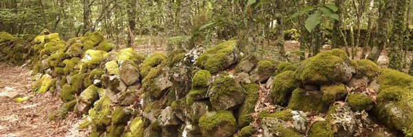 ropamuig37 Profile Banner