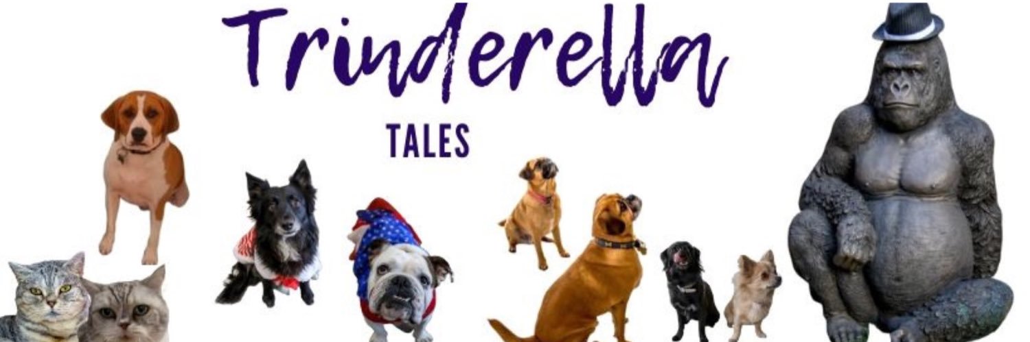 Trinderella1's profile banner image