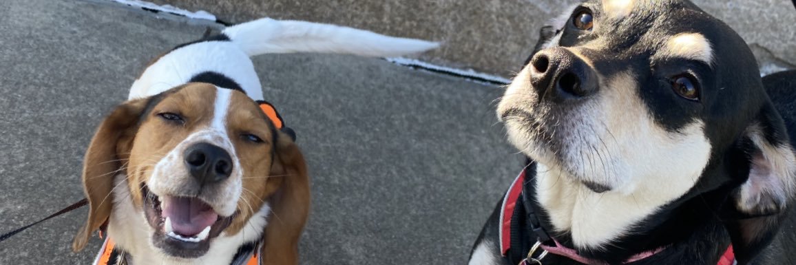 CommanderNaya's profile banner image