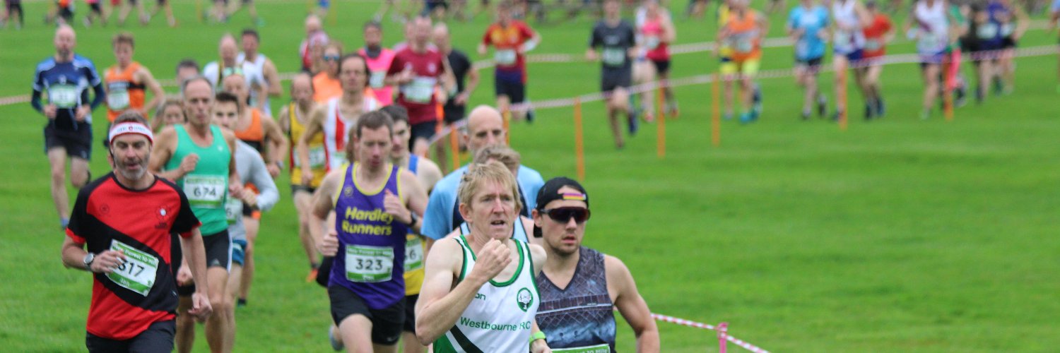 New Forest 10 Mile Race banner