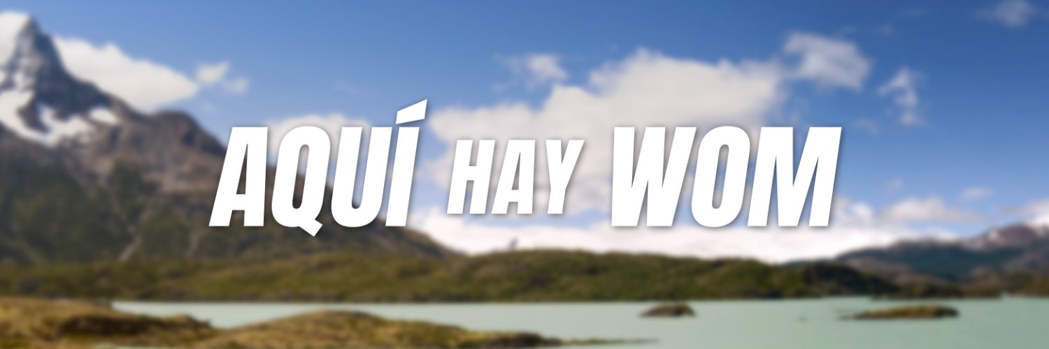 WOMTeAyuda Chile banner