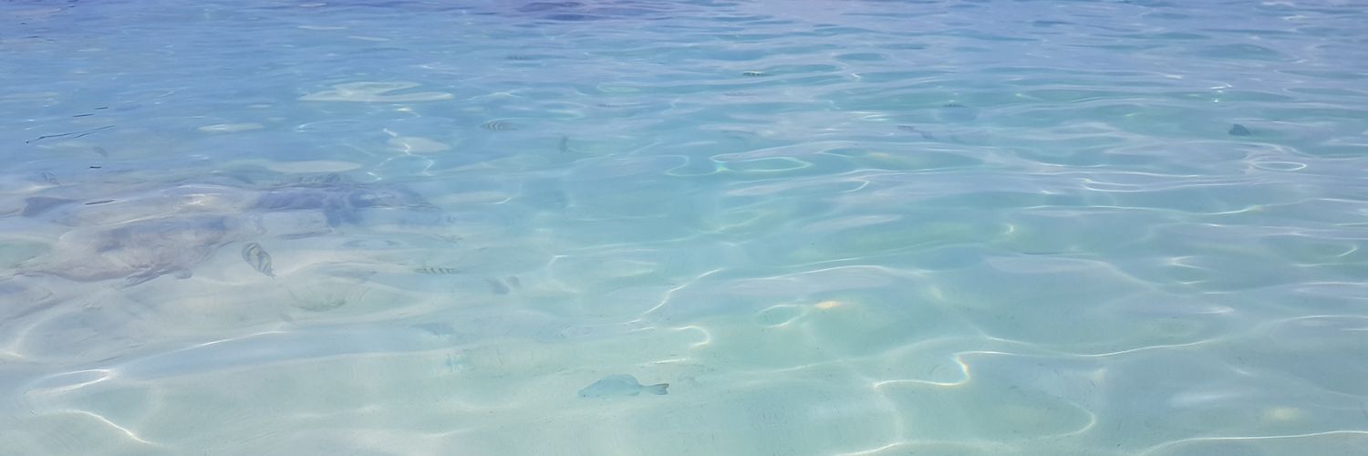 NHedders's profile banner image
