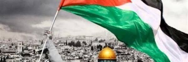 Rania Shawky🇪🇬 🇵🇸 banner