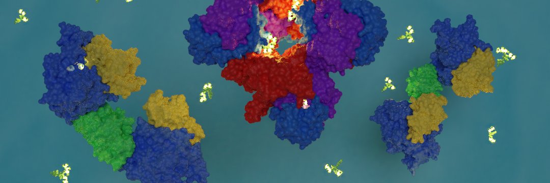 René Bærentsen / Rene Baerentsen banner