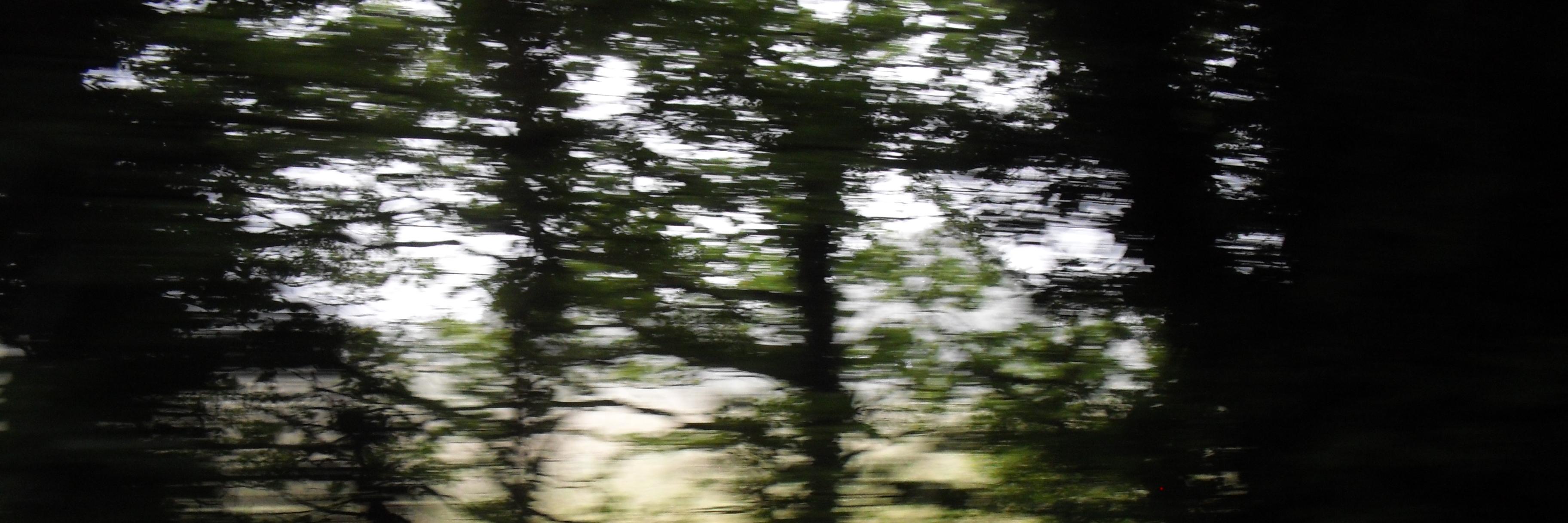 Alphaentchen's profile banner image