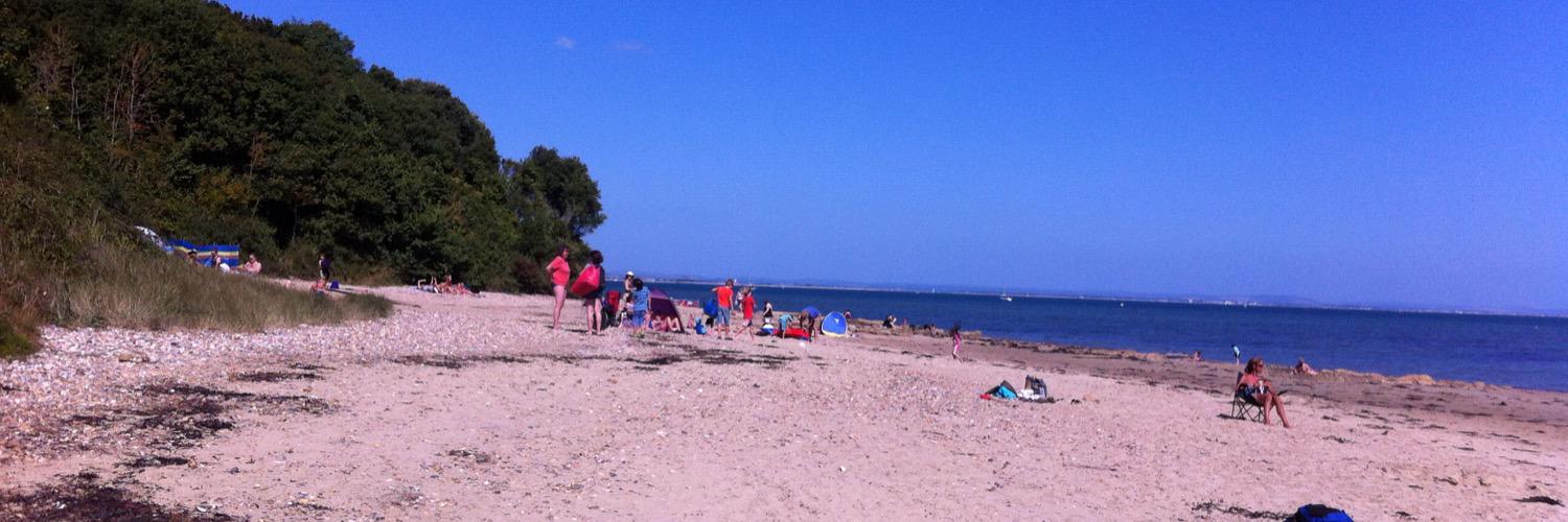 Alison Archibald banner