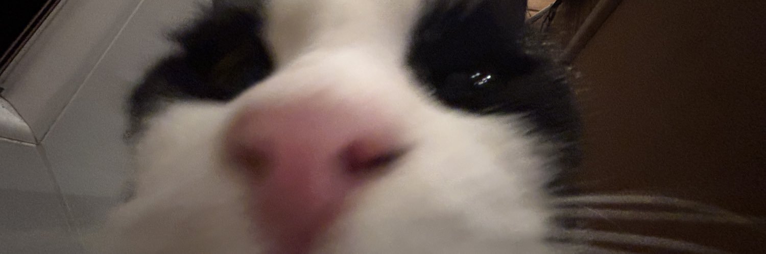 knoecheltief's profile banner image