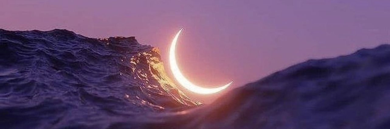 DanielMarques28's profile banner image
